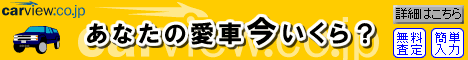�J�[�r���[�����ꊇ����